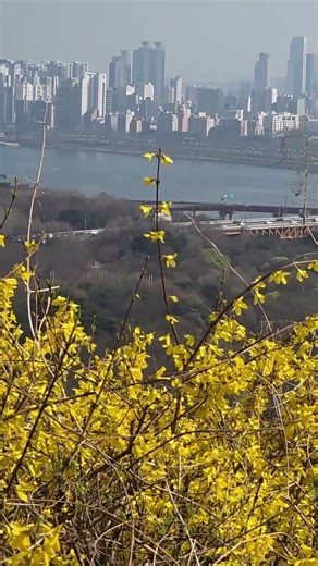 인생은 바람처럼, 흘러가는 강물처럼