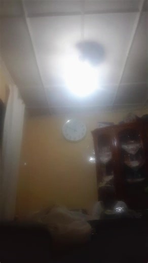 miklol king🤴🤴🤴 (@mikilolking)’s videos with original sound - m.s.l lyrics