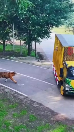 The Most Unique Zoo