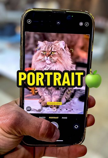 iPhone 13 Pro Max Portrait Photography Tips
