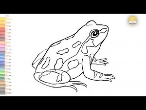 Frog outline drawing 02 / How to draw A Frog drawing step by step / #artjanag