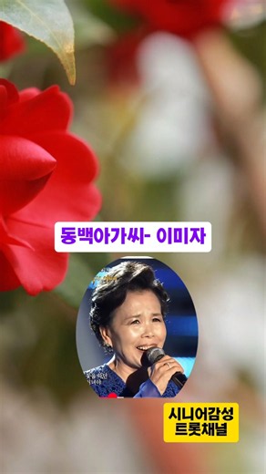 #이미자 #동백아가씨 #트롯가수 #시니어감성 #트롯채널