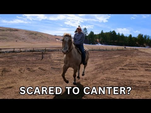 HOW TO CANTER ON A HORSE WITHOUT FEAR!!?😬🐎