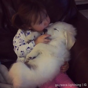 The purest love🥰 📹 go.reece.lightning | IG | 9GAG