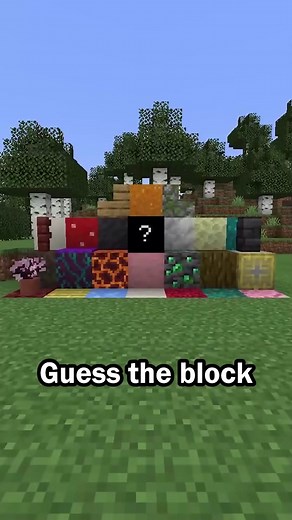 Guess the Longest Name Minecraft Block in 60 Seconds!