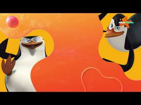 Nicktoons CEE (Czech) - Continuity (March 7th, 2025)