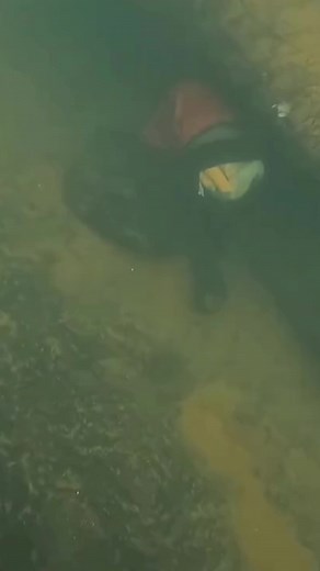 Scuba Diving Adventures: Discover Underwater Treasures