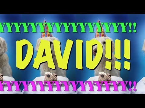 HAPPY BIRTHDAY DAVID! - EPIC Happy Birthday Song