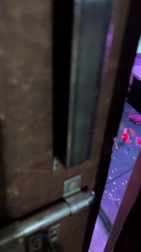 Just enjoy my kind of jurassic Park 😎😎😊 #aquariumfish #aquarium #plantedtank #natureaquarium #fishtank #goldfish #goldfishtank #discusfishtank #trending #jurassicworld #jurassicpark #fyp