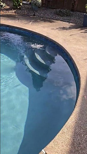 Pool renovation on Wallace Way - McMinnville, Oregon
