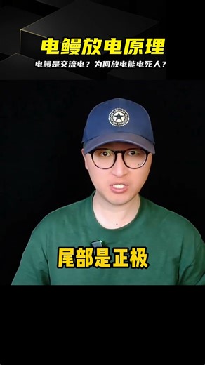 震撼揭秘：電鰻放電竟是交流電！600伏電流，如何秒殺獵物？ #电鳗 #交流电 #放电原理 #动物科普 #生物电