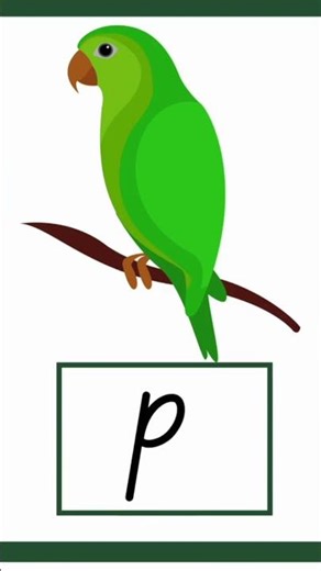 P for Parrot 🦜 | Alphabet P Repeat 3 Times | #toddlers Preschool Kids #alphabet #abc #kidslearning