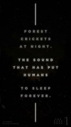 Forest crickets. The sound humans sleep to forever. 🦗 #CricketSounds #BlackScreen #NightSounds