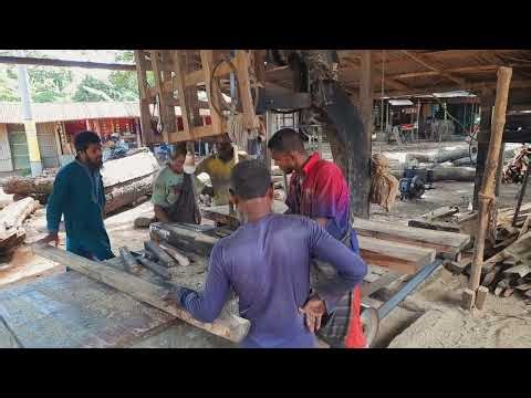 Firewood Making at Winter Season | Preparation for Winter by Cutting Firewood | Firewood Processing