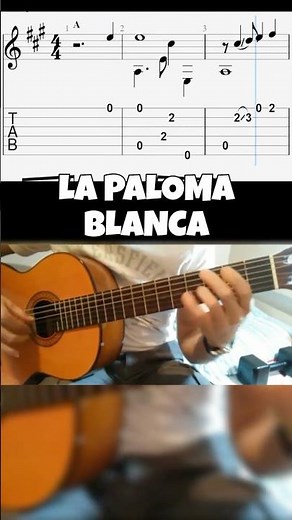 La Paloma Blanca guitar tabs (PDF + Guitar Pro) easy spanish guitar
