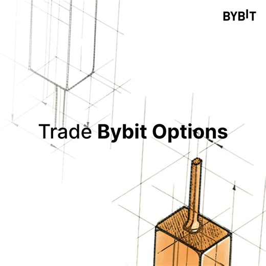 Fast markets. Faster execution. Bybit Options make advanced trading easier by letting you trade price movements while keeping risk clear and controlled. Try it today: https://i.bybit.com/ab1dQ1lr #Bybit #CryptoArk | Bybit