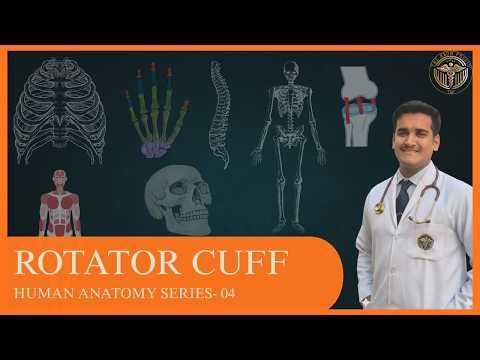 Rotator Cuff Explained in 10 Minutes | Anatomy, Muscles, Injuries & Physiotherapy Treatment