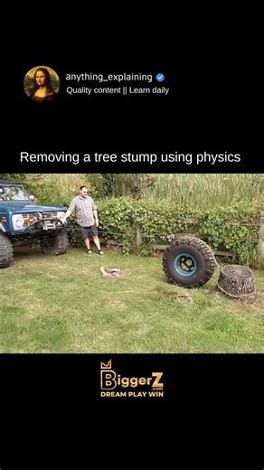 Explainer Zone on Instagram: "A brilliant use of simple mechanics to pull a stubborn tree stump — by looping a chain around a tire and the stump, they created a makeshift lever system that multiplies force and adds lift. 💪🌳 Here’s how it works: as the vehicle pulls, the tire acts like a rolling fulcrum, redirecting the horizontal force upward. That vertical lift helps pop the stump — and its roots — right out of the ground. . . . #physics #educational #knowledge #learn #explorer #fy #biggerz @