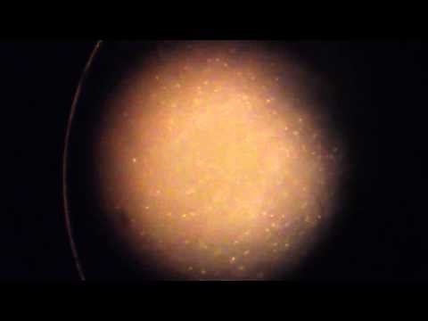 A Smoke Cell demonstrating Brownian Motion in Air.