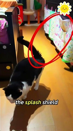This Cat Pee’s Like a WATER GUN… and the Bed Pad Explains Everything 😭🐱