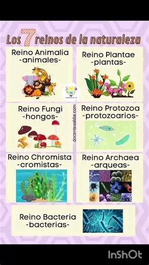 Los 7 reinos de la naturaleza: Un vistazo educativo