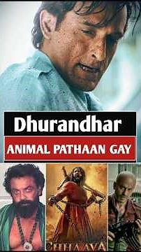 Dhurandhar vs animal pathan 🤫 #movieupdate #bollywood