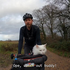 Shameless promotion. 😂 Get yer plushie: https://plushifylab.com/products/sigrid-plush | Travis and Sigrid