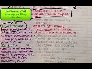 Awesome Color Coded Notes!