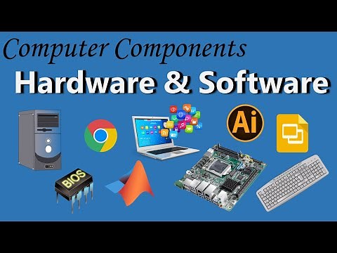 Computer Hardware and Software| Types and examples
