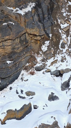 A wide Himalayan frame where a snow leopard becomes visible only through movement. Scale, terrain, and distance define photography in these landscapes. This is how the mountains shape both predator and perspective. #SnowLeopard #SnowLeopardPhotography #SnowLeopardExpedition #SpitiValley #IndianHimalayas @nikonindiaofficial @natgeoindia @nikonasia @bbcearth @incredibleindia | Wild Wonders Expeditions