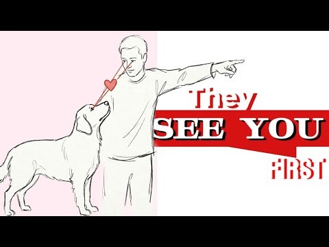 Are Dogs Smarter Than We Think? (The Mind Test)
