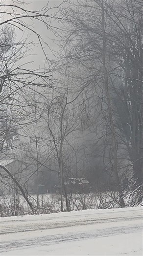 Fully engulfed house fire on West Stanton Rd. in Trufant. Multiple departments responding. | Montcalm Vibe