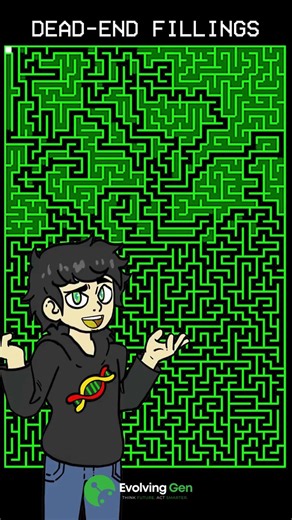 I Coded Maze Solving Algorithms #ai #chatgpt #depthai #coding