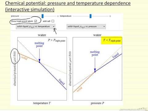 Chemical Potential Dependence on Pressure and Temperature (Interactive Simulation)