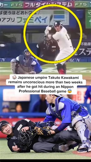 ⚾️ Japanese umpire Takuto Kawakami remains unconscious more than two weeks after he got hit during an Nippon Professional Baseball game 😨It was between the Tokyo Yakult Swallows and the Yokohama DeNA BayStars ⚾️ 日本人審判の 川上拓人 は、日本プロ野球の試合中に被弾してから2週間以上が経過した現在も、なお意識不明の状態が続いている 😨東京ヤクルトスワローズ対横浜DeNAベイスターズの試合で