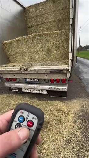 The Principles of Science Explained