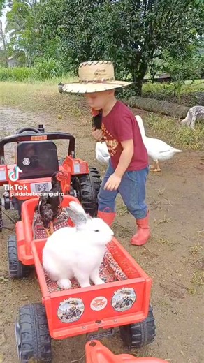 12M views · 194K reactions | Lo más hermoso 朗珞 | Periódico la Verdad de San Felipe | Facebook