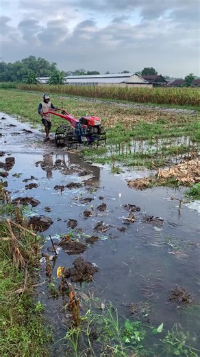 Agri-Business Courses for Growing Your Skills