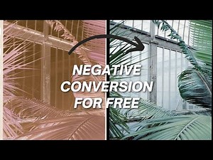 Convert Negative Film for Free - The Lomography Digitaliza Lab