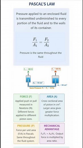 Pascal’s Law in Action! | How Fluids Transmit Pressure Equally #pascal #fluidmechanics #pressurelaw