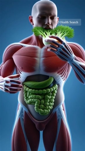 Fennel Benefits Inside Human Body 🤯 | 3D Medical Animation #Shorts