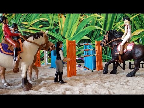 [Cours de saut] les sport étude montent les chevaux du club