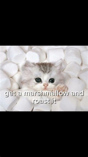 how to make a smore tutorial part 88 #cat #catmeme #catphoto #usefultips #helpful #shorts #fypシ