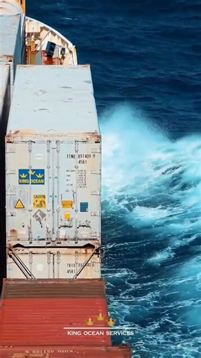 King Ocean Services on Instagram: "The Caribbean is not just where we sail. It’s where we lead. 👑🌊 From port to port, island to island, our vessels move with precision, discipline, and purpose. Containers. Breakbulk. Reefer. Every shipment handled with the same commitment to reliability and operational excellence. This is more than transportation. This is connection. This is continuity. This is leadership at sea. ⚓ Port Everglades to the Caribbean 📦 Seamless logistics 🌎 Trusted across decade