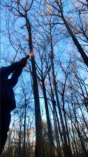 3d printed Glock 19🥶￼#3dprinting#3d2d#9mmluger#edc#3d#glock#glock19#g19#9mm#p80#viralshorts#guns