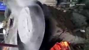 Shocking footage of a dog being boiled alive in steamer | Daily Mail Online