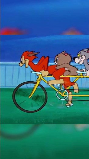 Bisikletçi Kediler 🚲 😺 #tomvejerry #shorts #çizgfilm #nostalji
