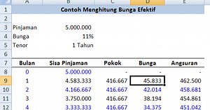 Rumus dan Contoh Menghitung Bunga Efektif Dengan Rumus Dalam Microsoft Excel