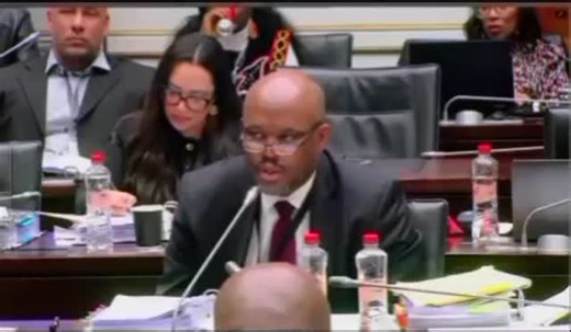 ULieutenant General Shadrack Sibiya uthi akaphiki ukuthi izigebengu namaqembu ezigebengu bangene ngokunyenya emaphoyiseni nasezinhlakeni zobulungiswa, uthe lokhu kuyenzeka nase-KZN, wagcizelela ukuthi lokhu kungena kwezigebengu emaphoyiseni nakwezobulungiswa akwenzeki eGauteng kuphela njengoba uMkhwanazi ezama ukukuveza kanjalo. | Izigi Zabhejane Media