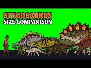 Stegosaurus Dinosaur Size Comparison | Dinosaur Animation